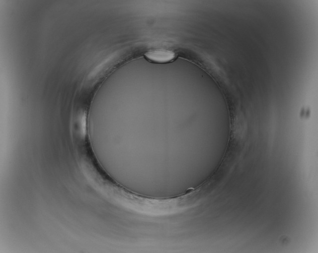 X0000113350027200909291106