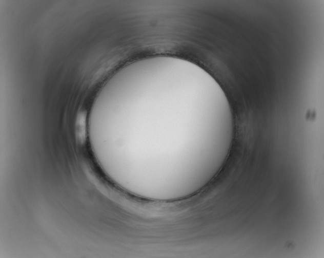 X0000113350028200909291105