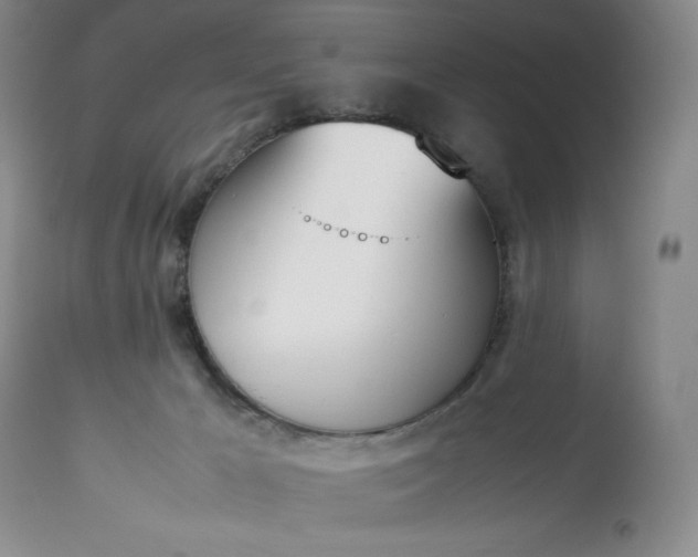 X0000113350029200909291105