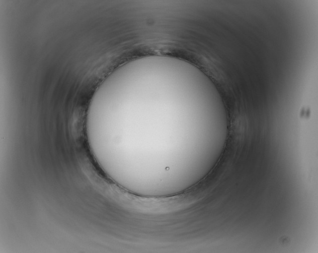 X0000113350030200909291105