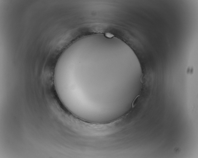 X0000113350031200909291105