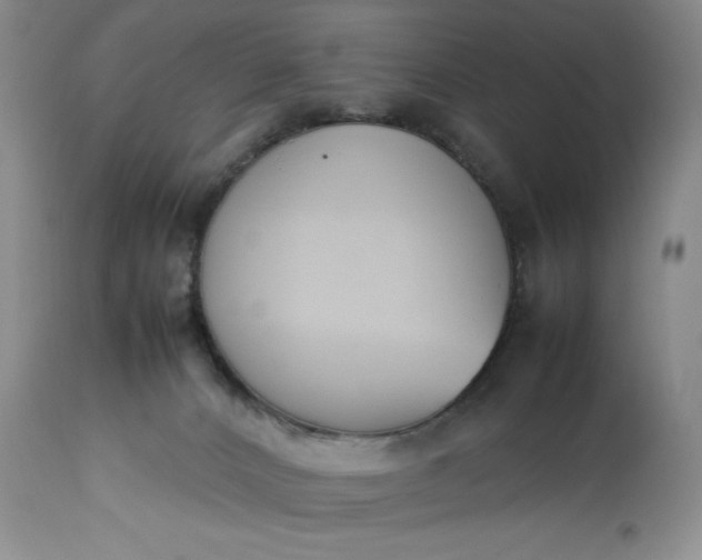 X0000113350032200909291105