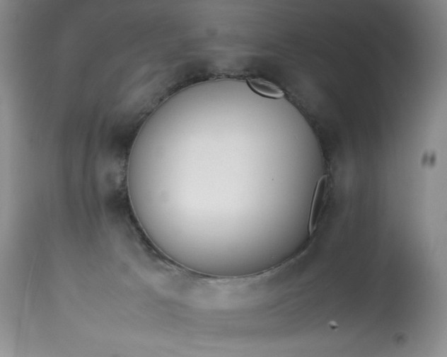 X0000113350033200909291105