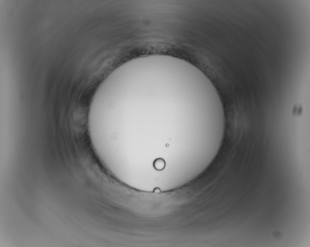 X0000113350034200909291105