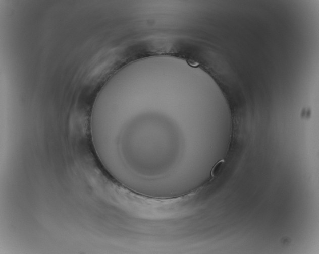 X0000113350035200909291105