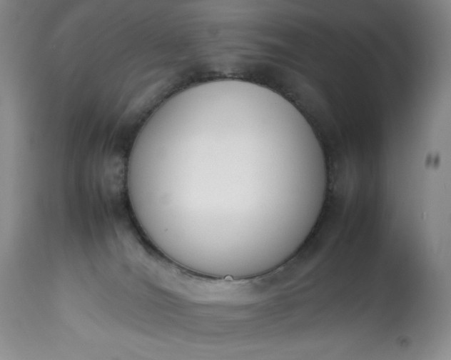 X0000113350036200909291105