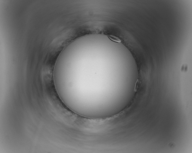 X0000113350037200909291105