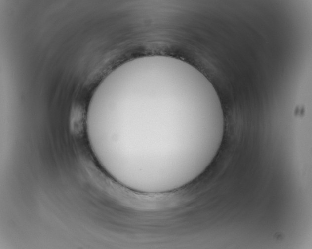 X0000113350038200909291105