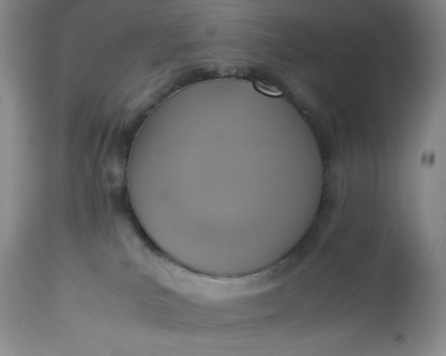 X0000113350039200909291105