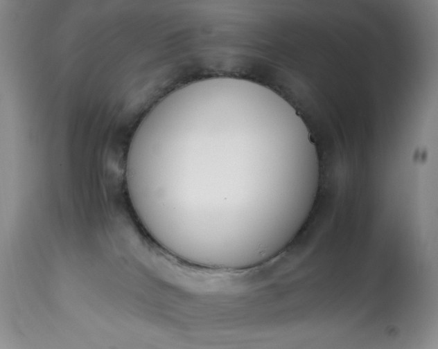 X0000113350040200909291105