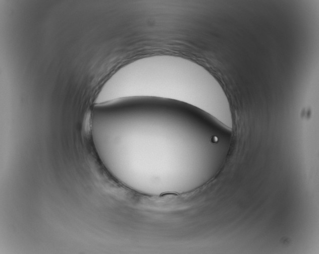 X0000113350041200909291105