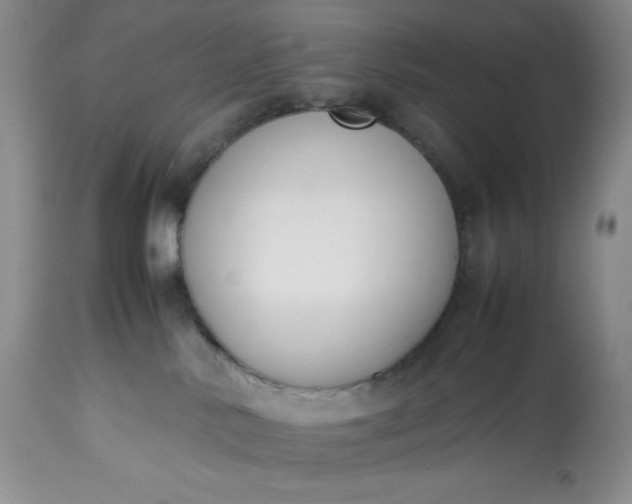 X0000113350042200909291105