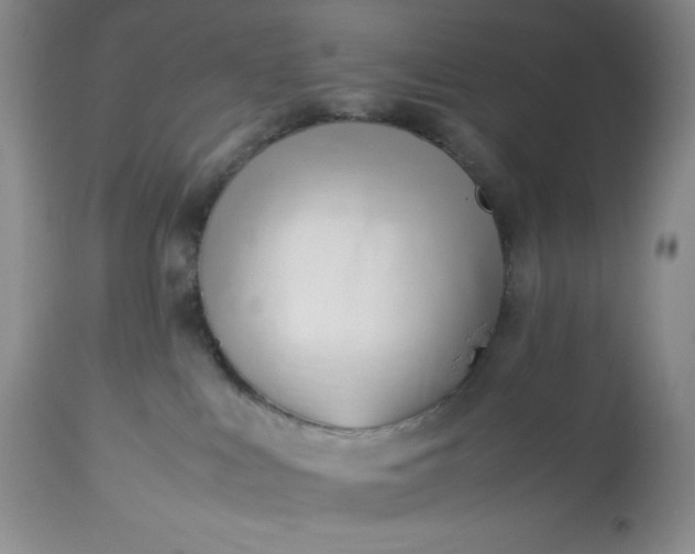 X0000113350043200909291105