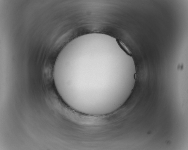 X0000113350044200909291105