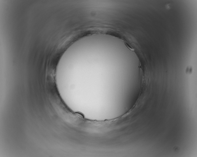 X0000113350045200909291105