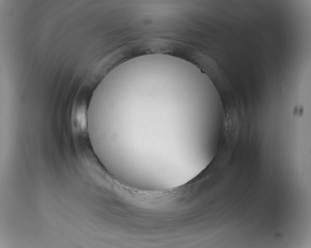 X0000113350046200909291105