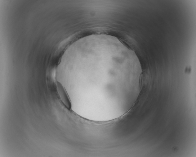 X0000113350047200909291105