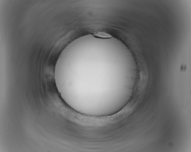 X0000113350048200909291105