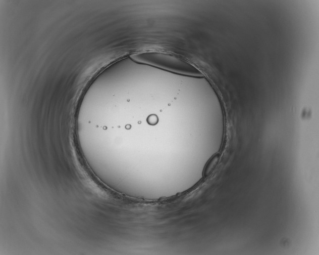 X0000113350049200909291105