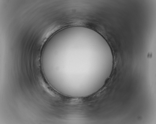 X0000113350050200909291105