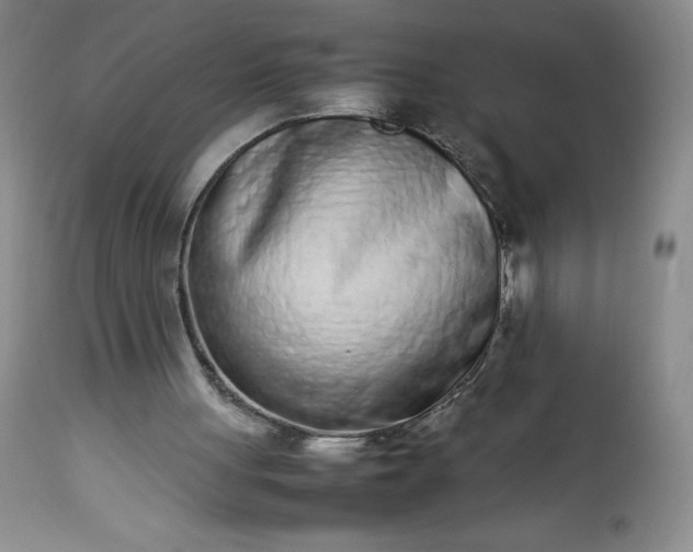 X0000113350051200909291105