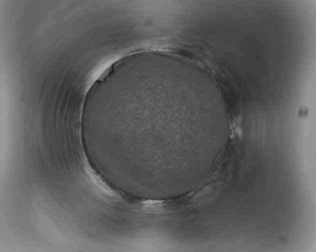 X0000113350052200909291105