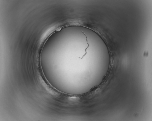 X0000113350053200909291105