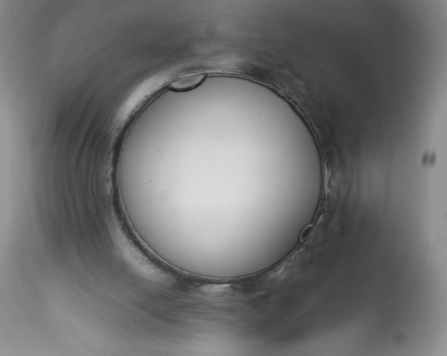 X0000113350054200909291105