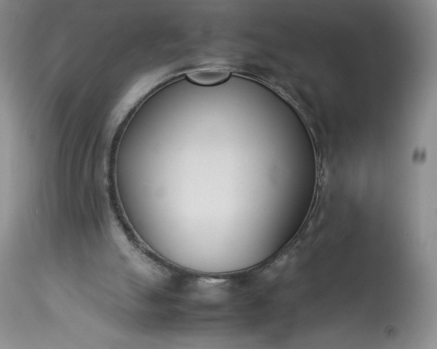 X0000113350055200909291105