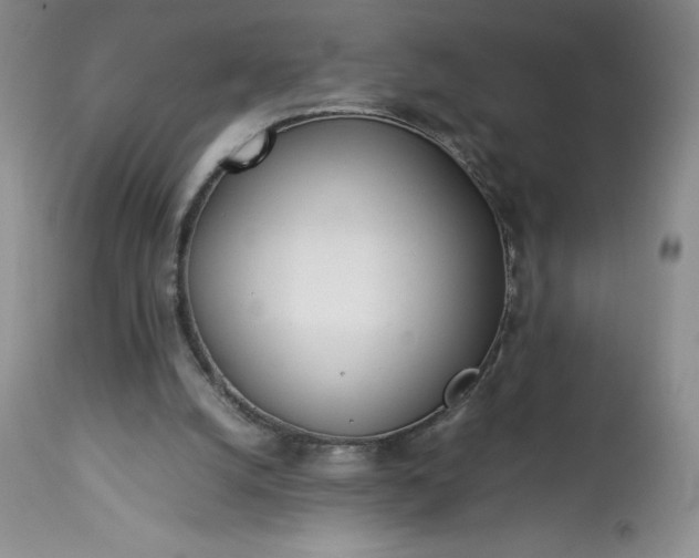 X0000113350056200909291105