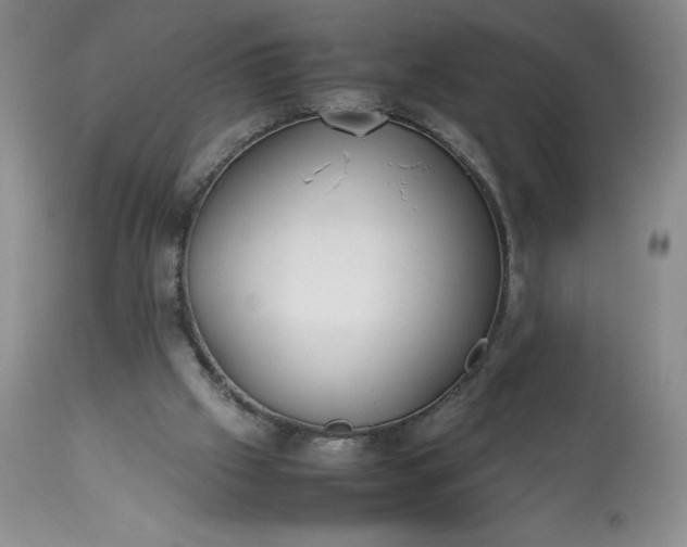 X0000113350057200909291105