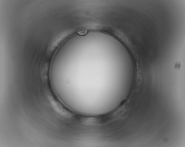 X0000113350058200909291105