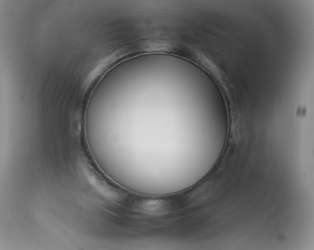 X0000113350059200909291105