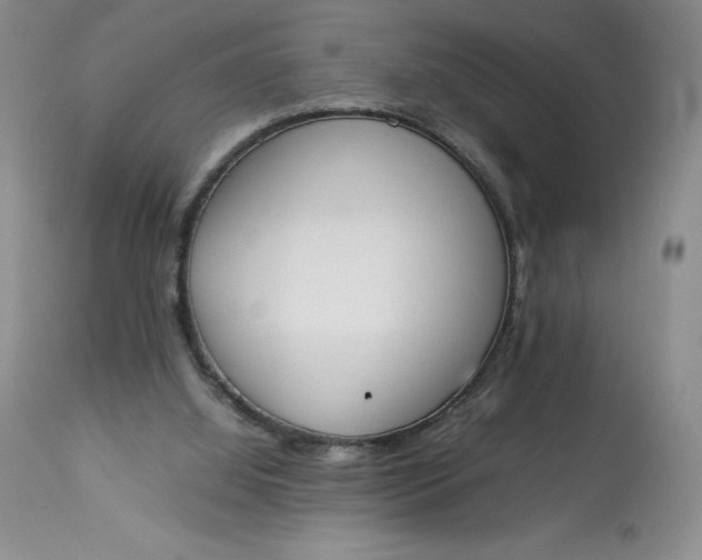 X0000113350060200909291105