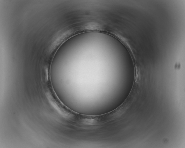 X0000113350061200909291105