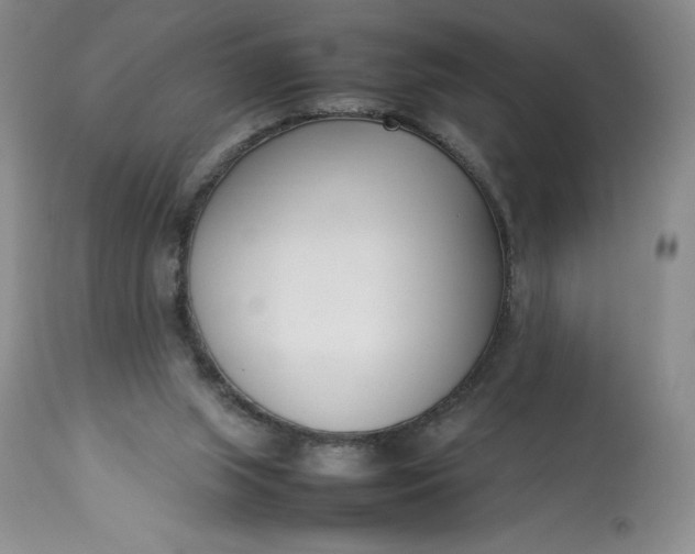 X0000113350063200909291105