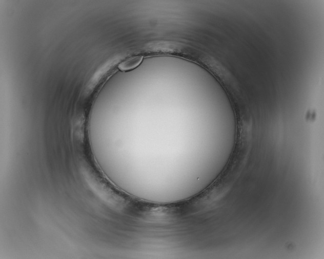 X0000113350064200909291105