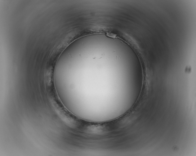 X0000113350065200909291105