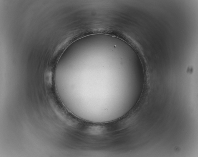 X0000113350067200909291105