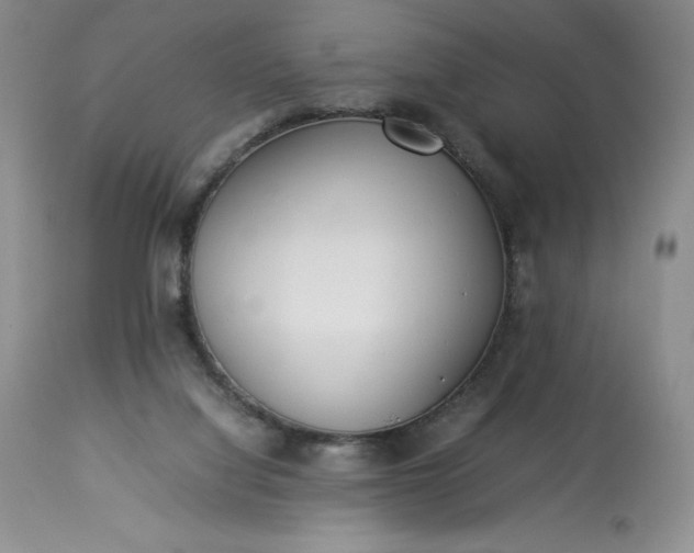 X0000113350068200909291105