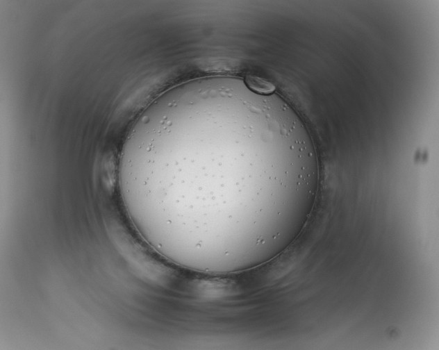 X0000113350069200909291105