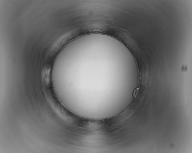 X0000113350070200909291105