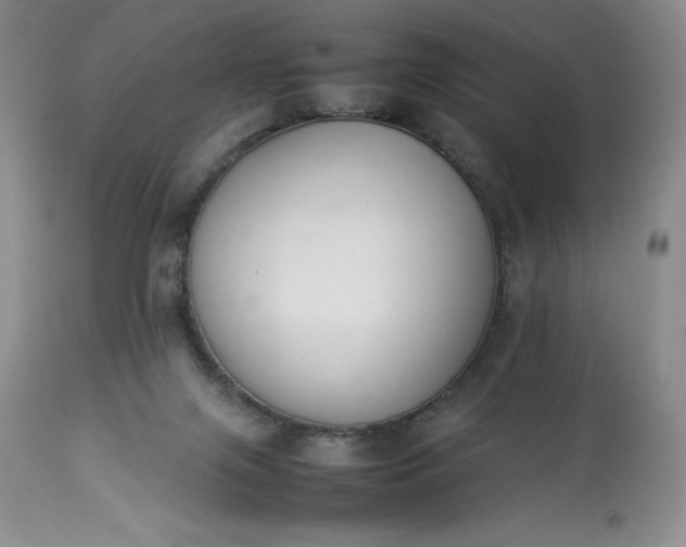 X0000113350071200909291105