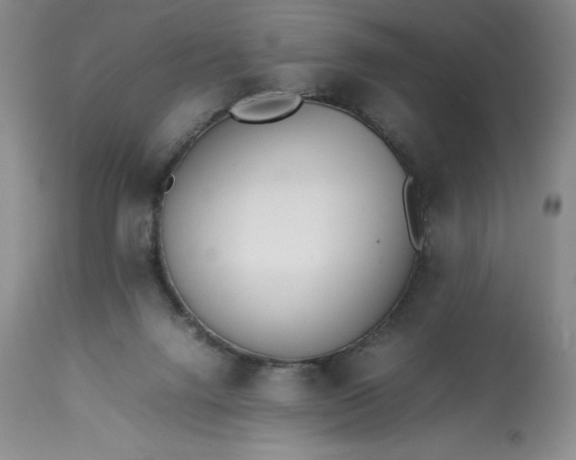 X0000113350072200909291105