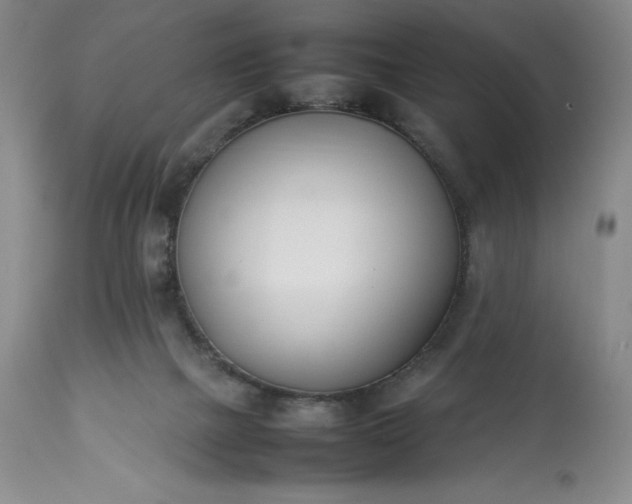 X0000113350073200909291105