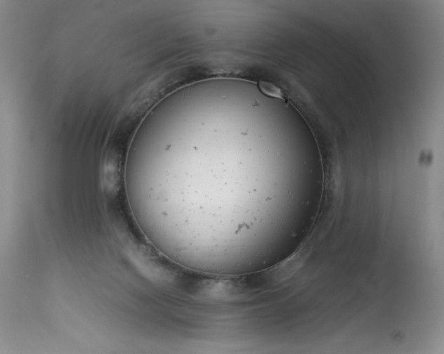 X0000113350074200909291105