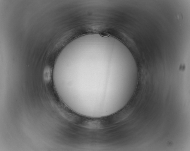 X0000113350075200909291105