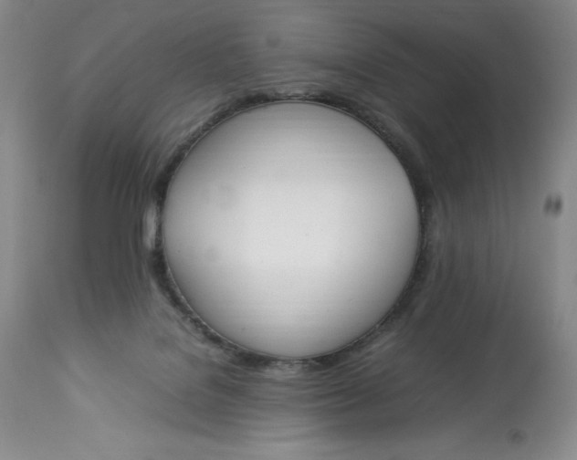 X0000113350076200909291105