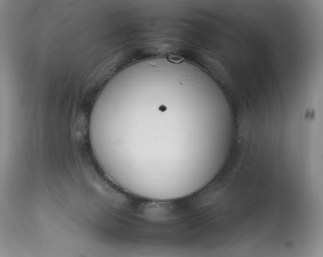 X0000113350077200909291105