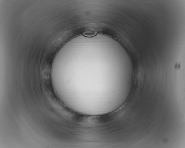 X0000113350078200909291105